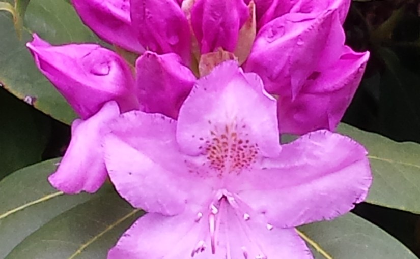 One Alone, or One of&nbsp;Many?