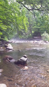 Morning mist on the river