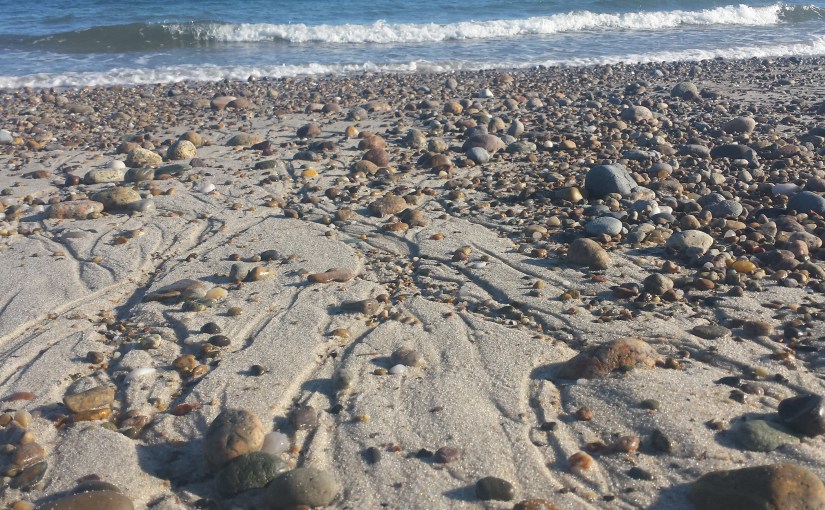 Rocky Beach Perspective
