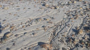 Rocky Beach Perspective