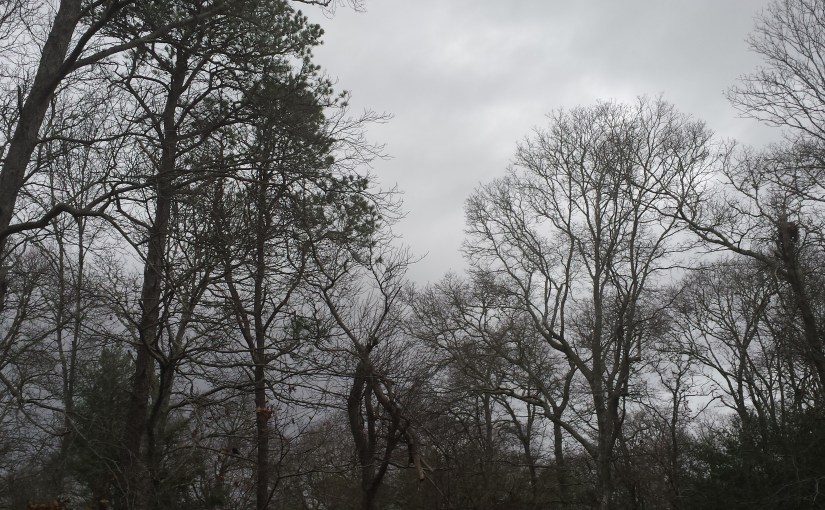 There’s a Storm&nbsp;Comin’!