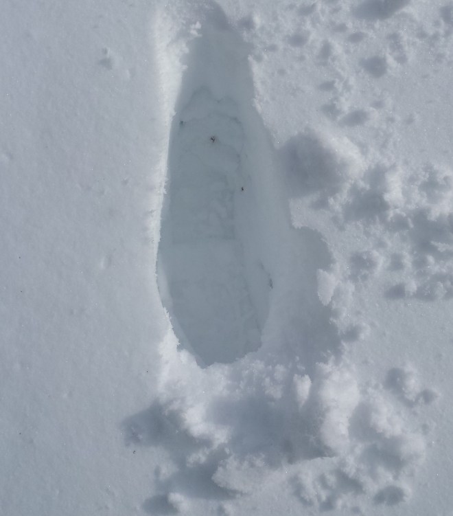 Footprint in snow