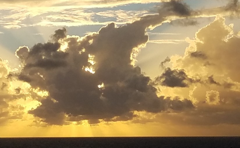 Come into the&nbsp;Light!