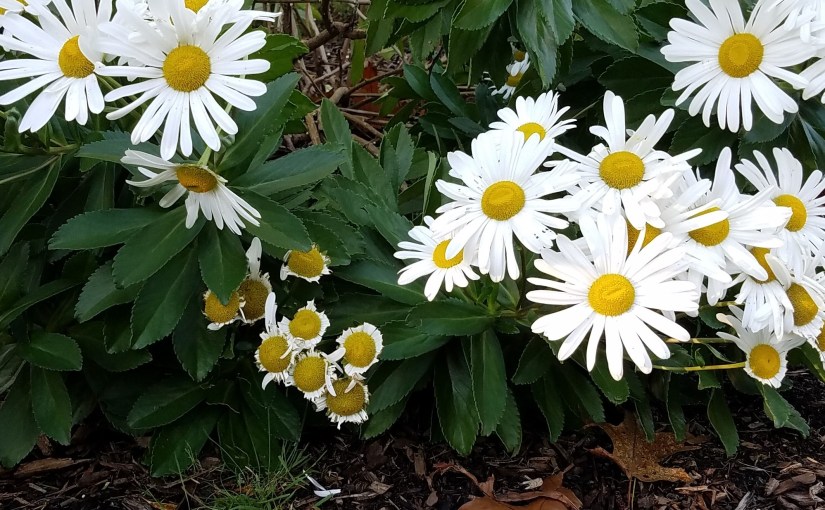 Who’s the Culprit?