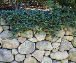 Rock retaining wall