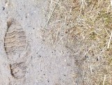 Boot print in mud