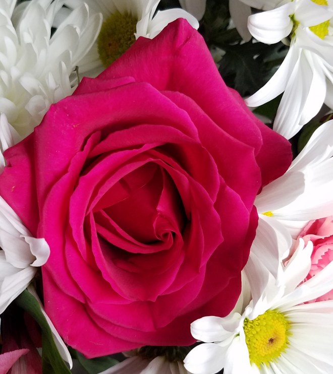 Where can I find unfading love?