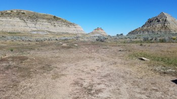 Nature reclaims its own