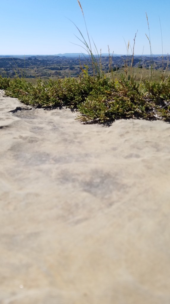 View from sandstone atop a butte