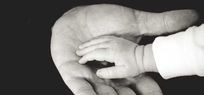 liane-metzler-B32qg6Ua34Y-unsplash