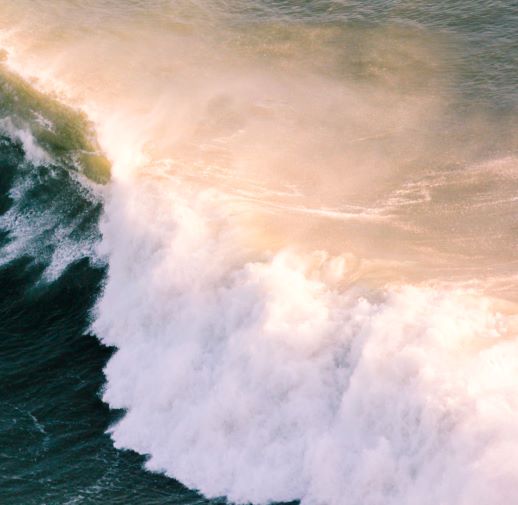 Wave crashing in the sunlight