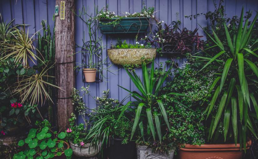 The Original Biophilic&nbsp;Designer