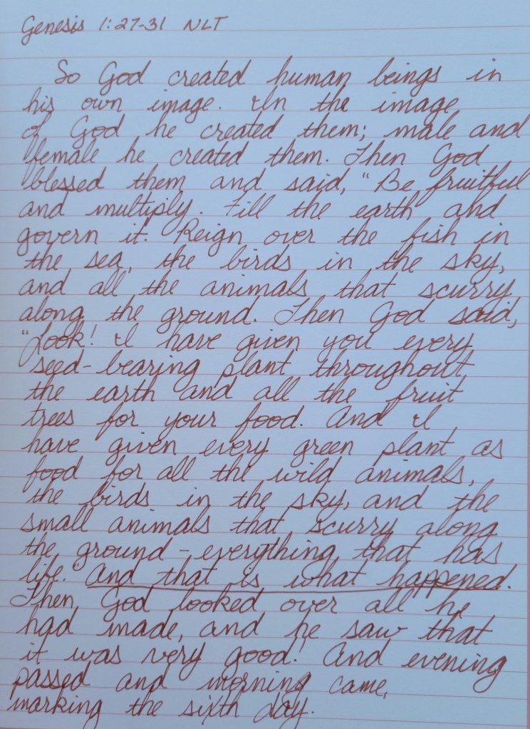 Handwritten Genesis 1:27-31