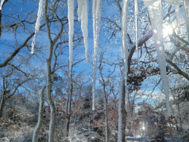 Icicles hanging from the rooftop