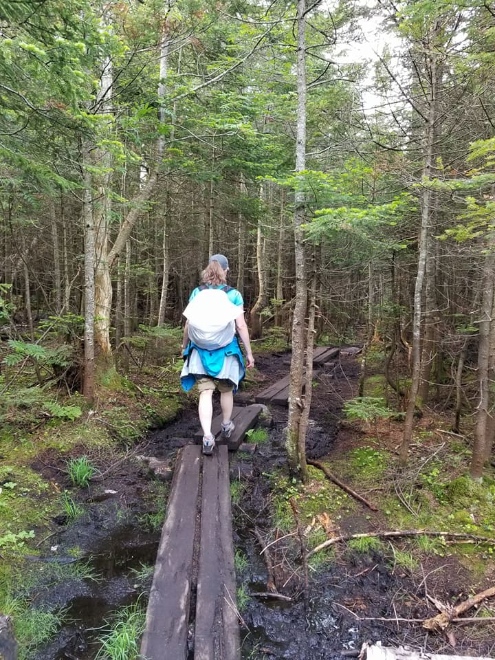 Woman crossing a manmade footbridge over swampy ground