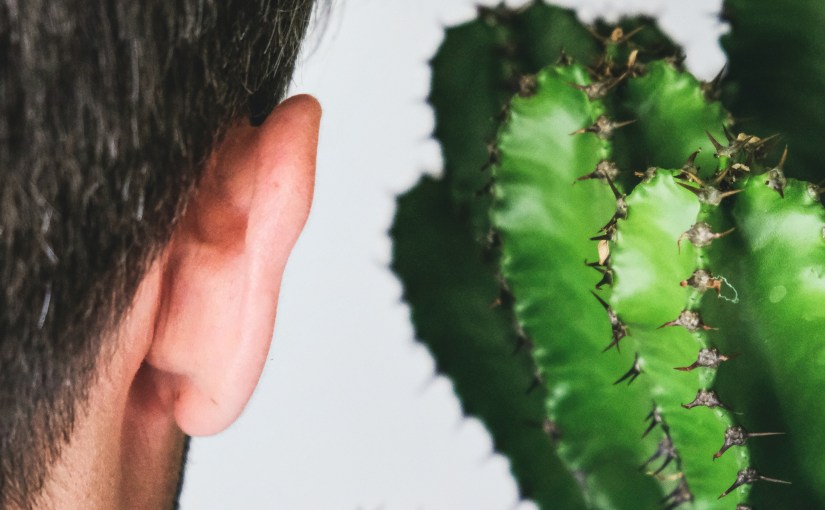 Man's ear close to a cactus