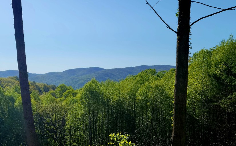 Where Have I&nbsp;Been??