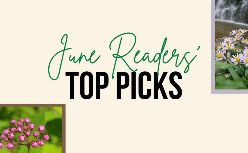 June Readers’ Top&nbsp;Picks