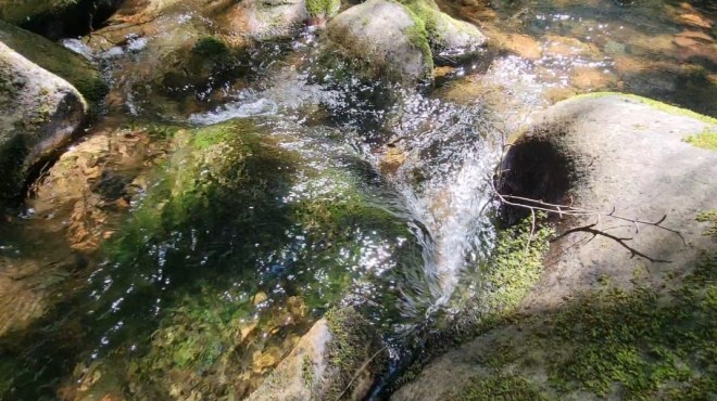 Water running over river rocks