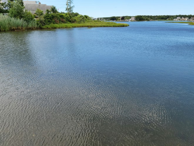 Mill Creek