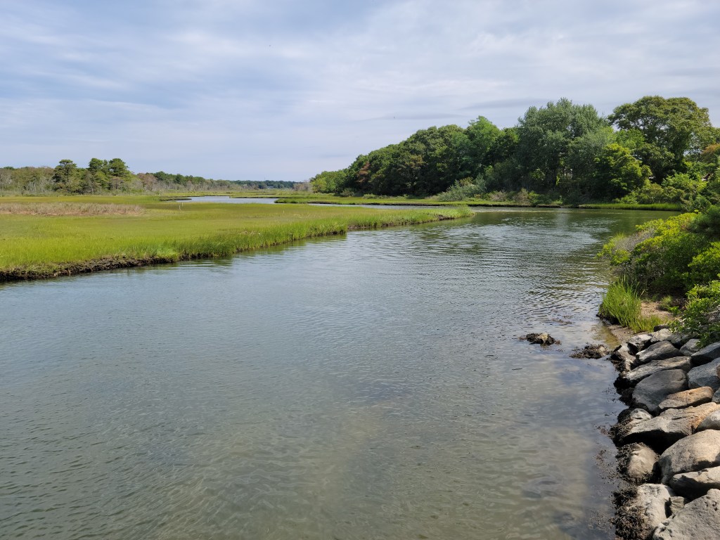 Edge of Parkers River