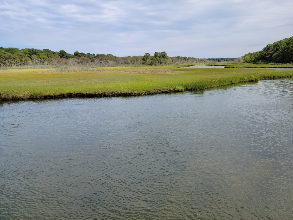 Marsh grass along Parkers River
