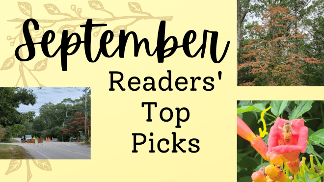 September Readers' Top Picks, with photos