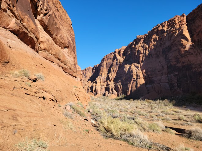 Canyon walls and sandy campsite with desert plants