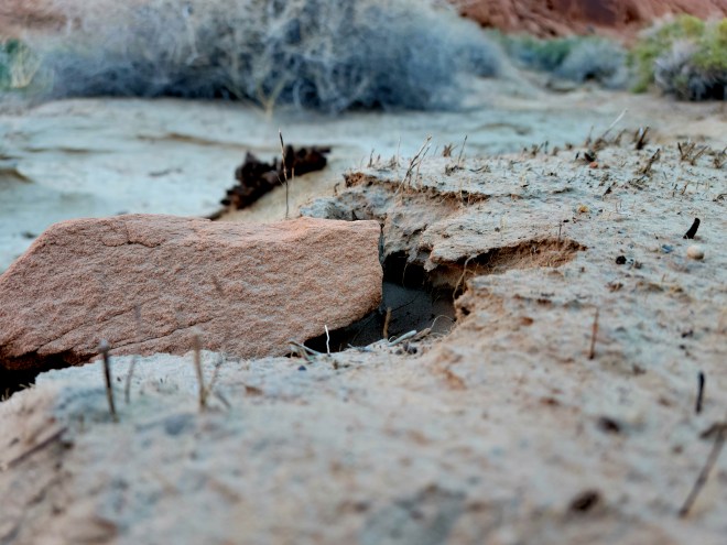 Desert wind erosion around a red rock closeup
