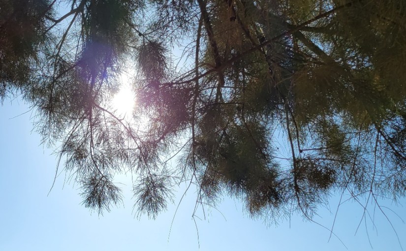 Can You See the&nbsp;Light?