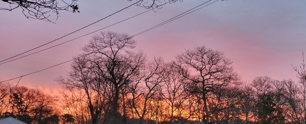 Bright sunrise showing through winter trees