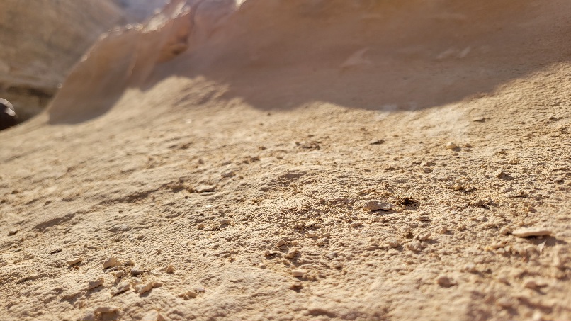 Closeup of limestone